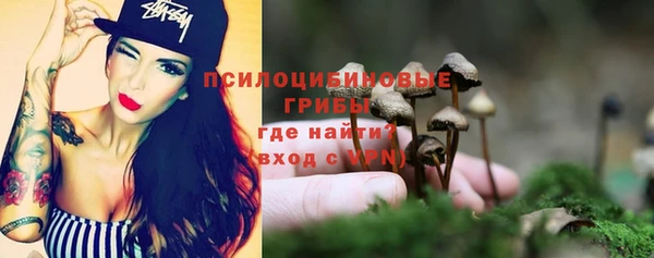 PSILOCYBIN Бердск