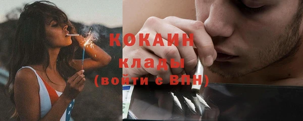 PSILOCYBIN Бердск