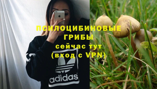 марихуана Хадыженск