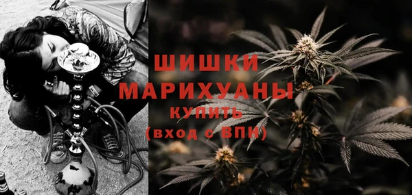 PSILOCYBIN Бердск