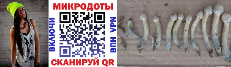 где можно купить наркотик  mega зеркало  Галлюциногенные грибы MAGIC MUSHROOMS  Орёл 